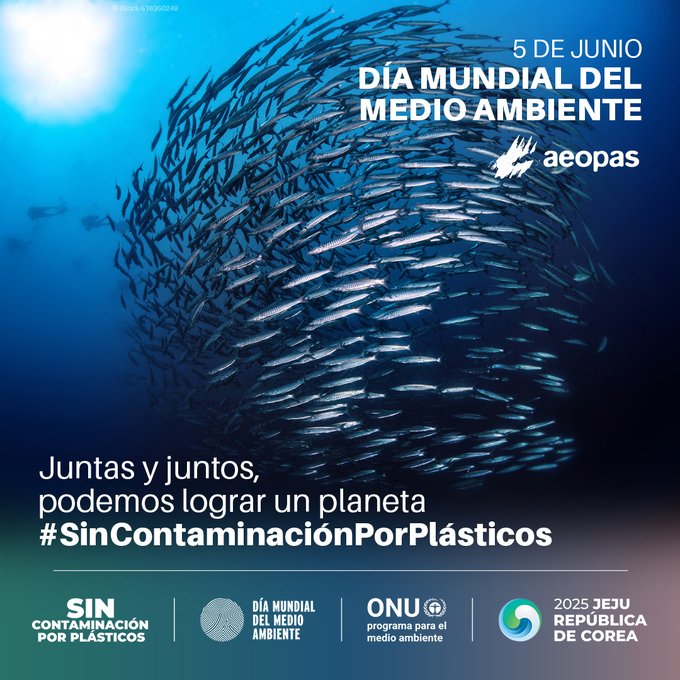 FOLLETO DÍA MUNDIAL MEDIO AMBIENTE