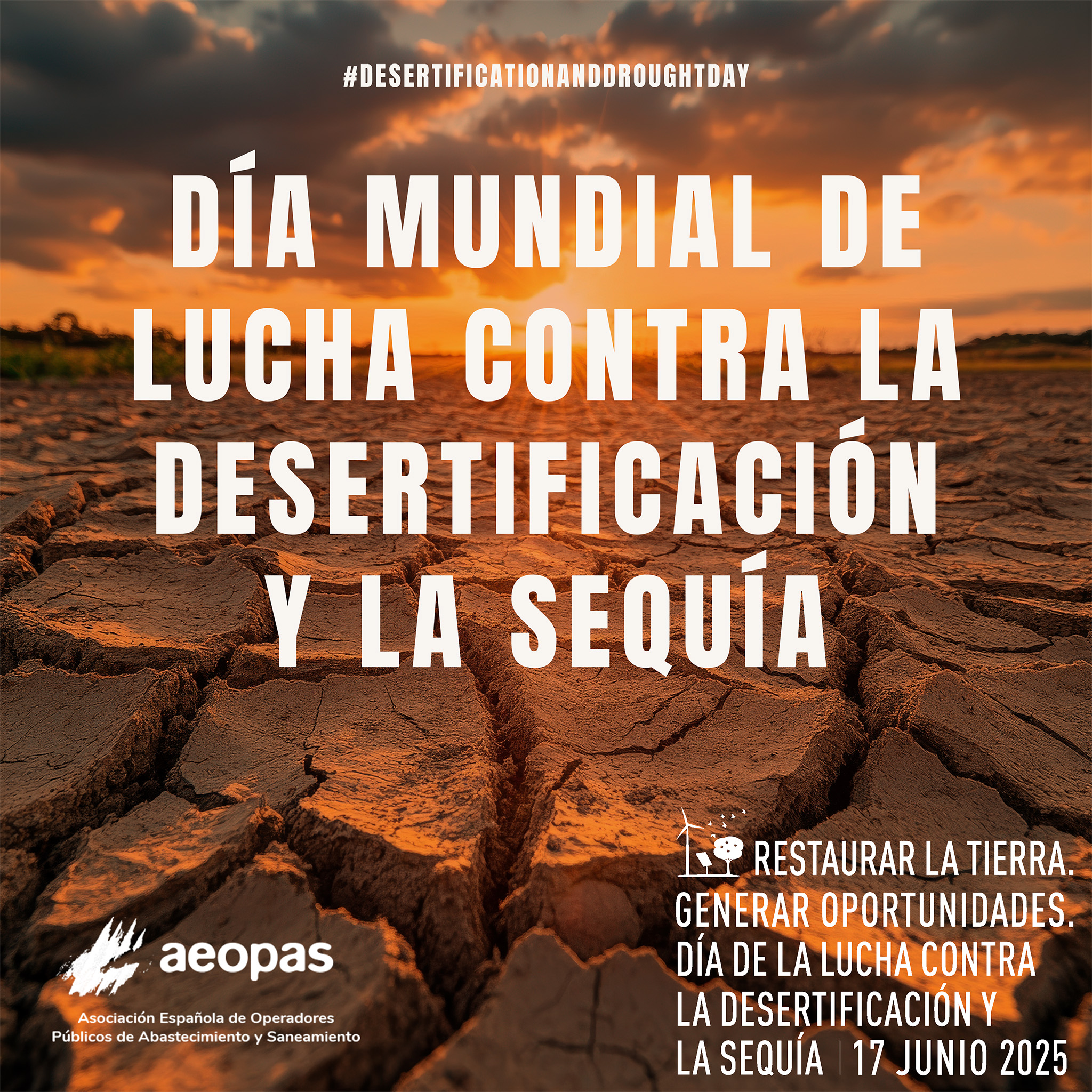 1 días. DMLDS