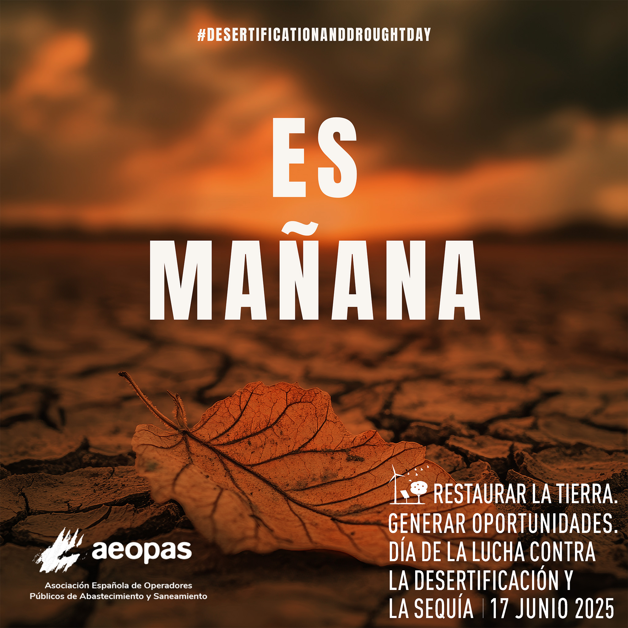 2 días. DMLDS