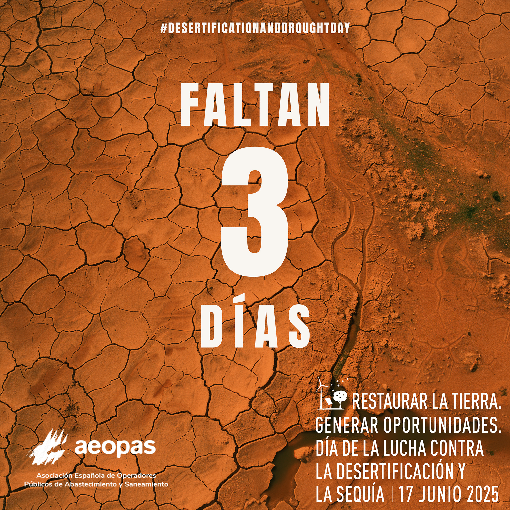 3 días. DMLDS