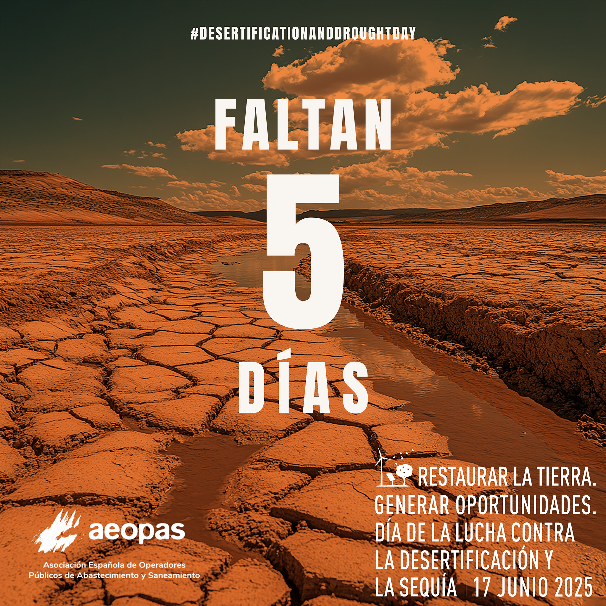 5 días. DMLDS