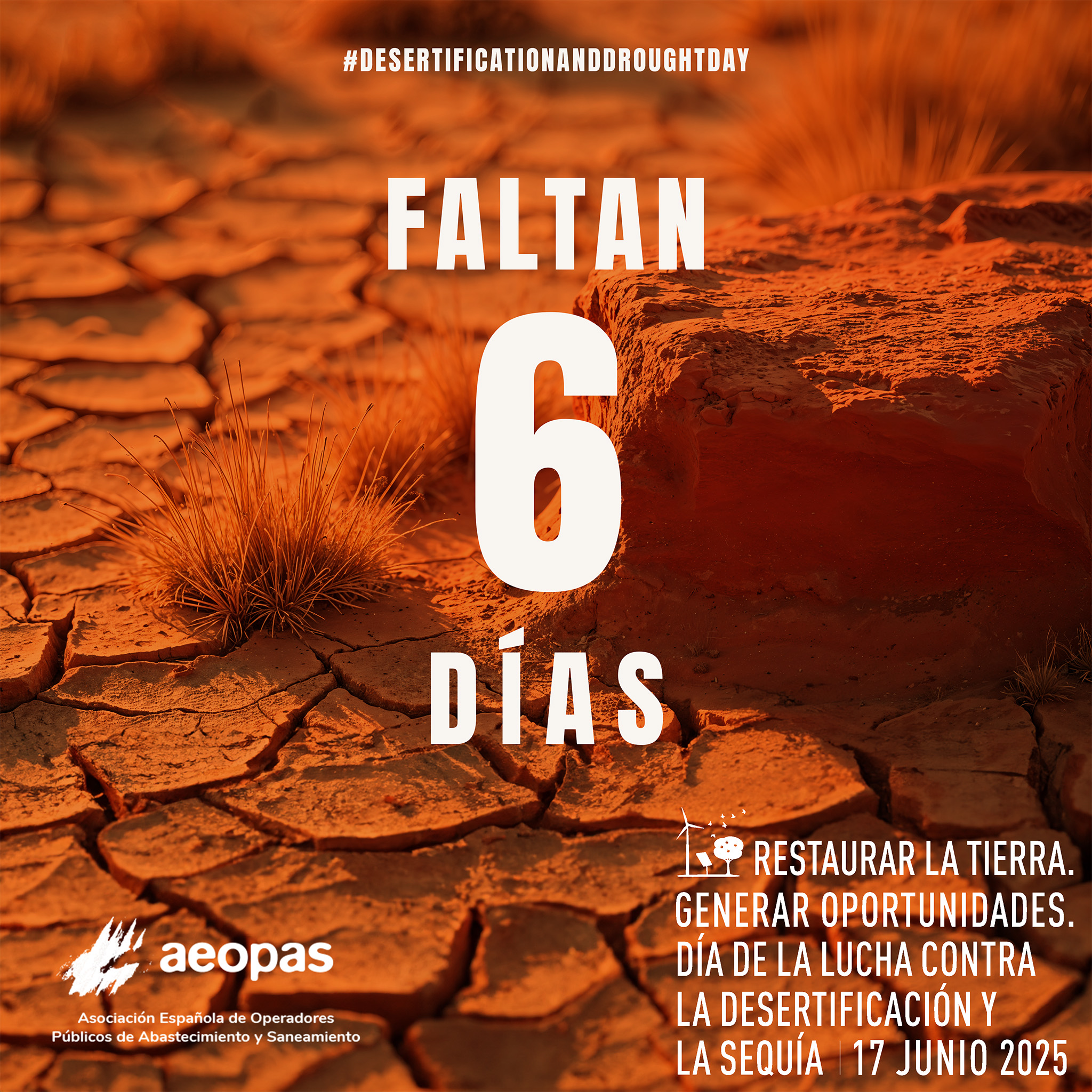 6 días. DMLDS