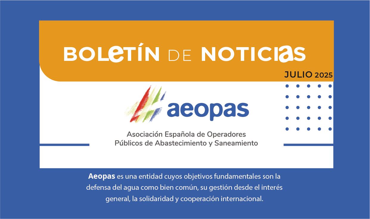 cabeceta boletin-202507
