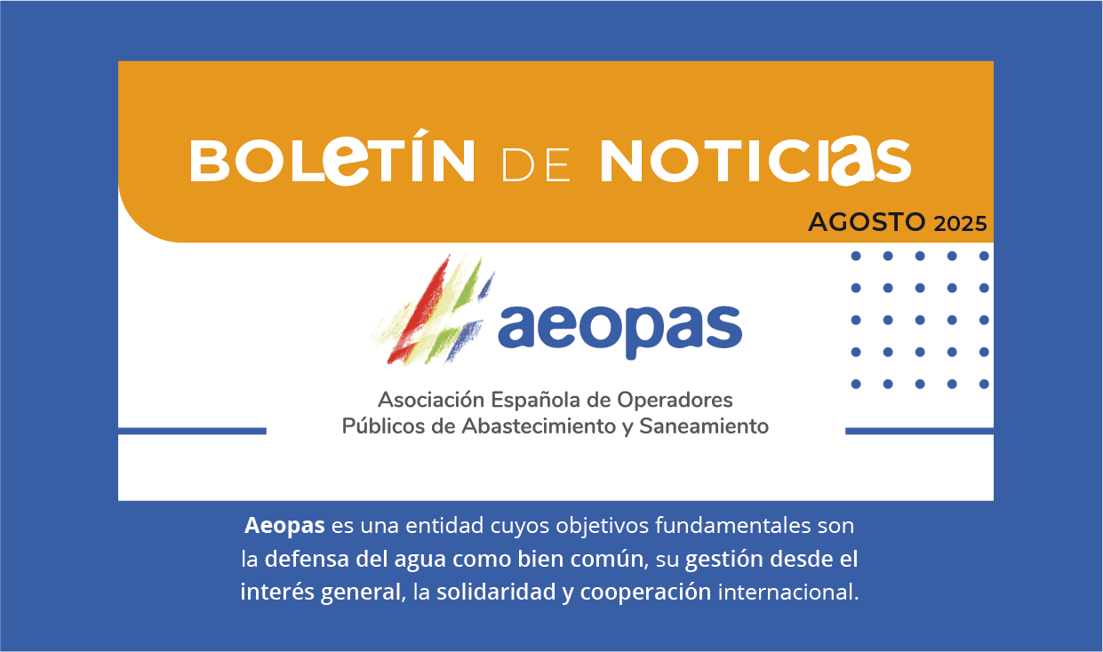 cabeceta boletin 2025-08