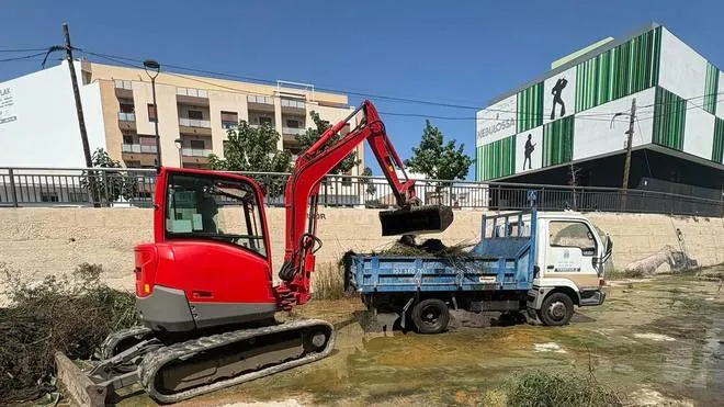 Limpieza del río Alberca a su paso por Ondara
